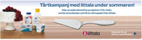 iittala-tartspade