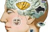 Gratis IQ-test