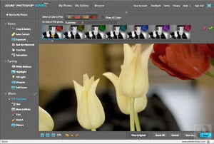 photoshop-online photoshop-online
